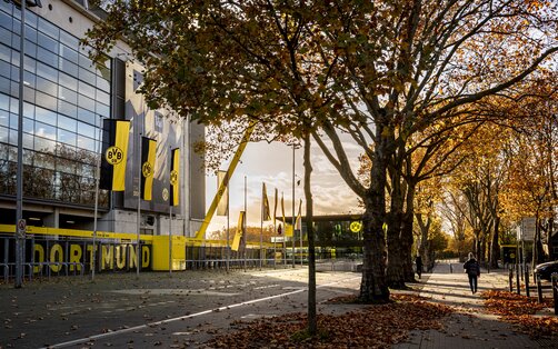 Das BVB Stadion im Herbst. Kooperation von Borussia Dortmund und der Rügenwalder Mühle
