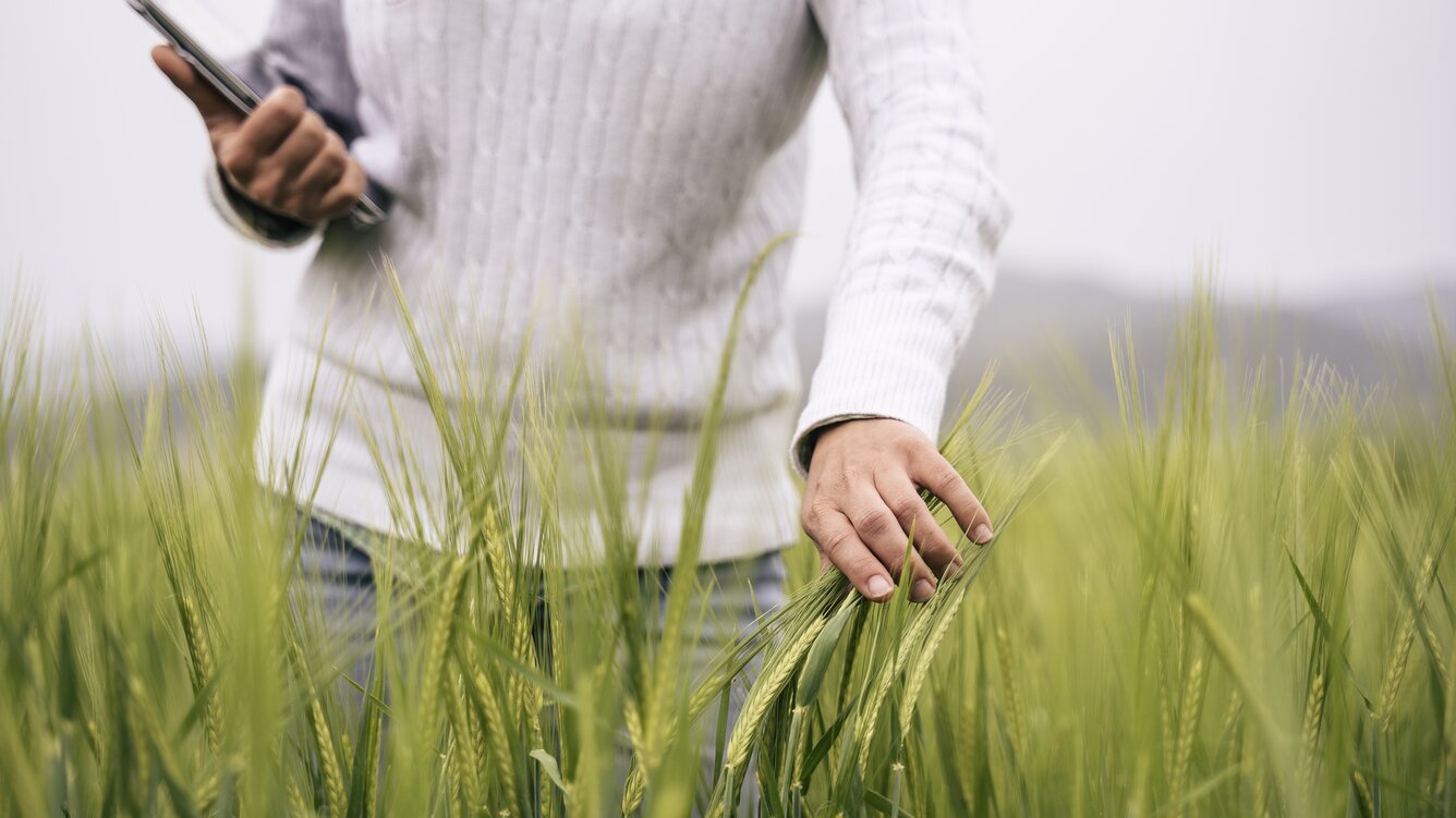 Nachhaltigkeit & Klimaschutz bei der Rügenwalder Mühle. Qualitätssicherung auf dem Feld mit Kladde & Checklist